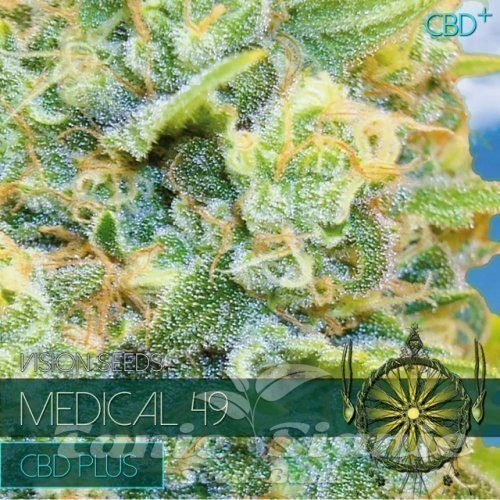 Nasiona Marihuany Medical 49 CBD+ - Vision Seeds
