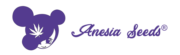 logo anesia seeds