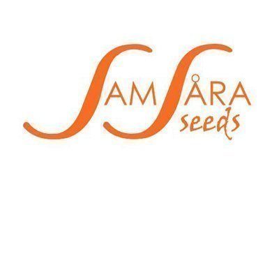 Samsara Seeds