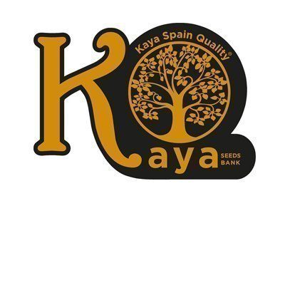 Kaya Spain Quality