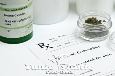 Czy można zdobyć receptę na marihuanę?