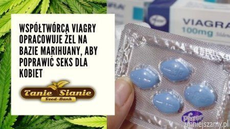 Współtwórca Viagry opracowuje żel na bazie marihuany, aby poprawić seks dla kobiet